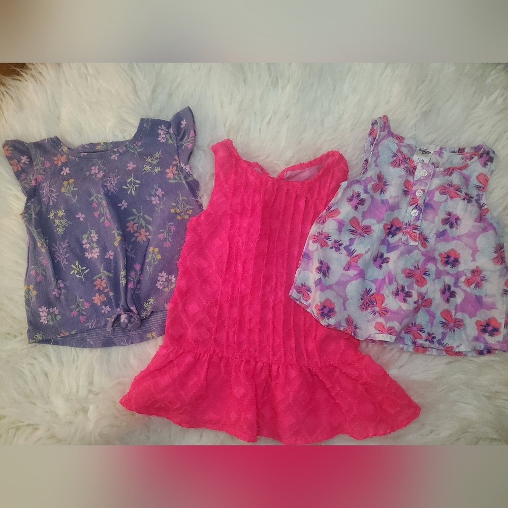 Girls 12 month top bundle